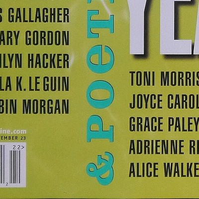 Miss Fiction Books